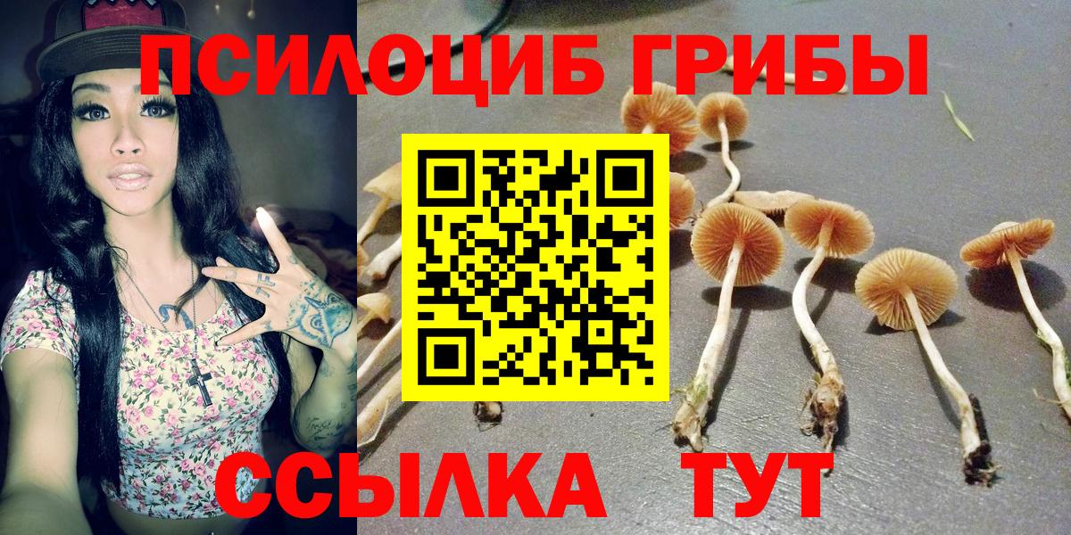 Псилоцибиновые грибы мицелий  Вход с VPN  Волжский 